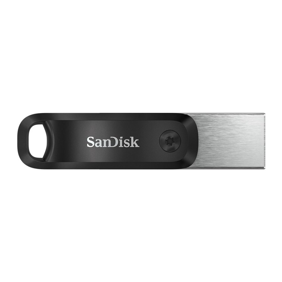 SanDisk SDIX60N-256G-GN6NE USB-ngle 256 GB 3.2 Gen 1 (3.1 Gen 1) Gr, Slv #2