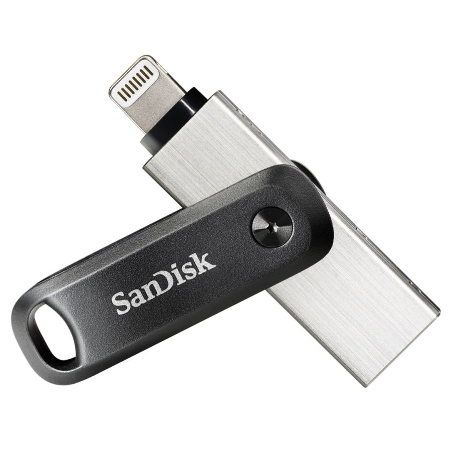 SanDisk SDIX60N-256G-GN6NE USB-ngle 256 GB 3.2 Gen 1 (3.1 Gen 1) Gr, Slv #1