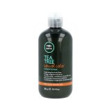 Conditioner til farvet hr Paul Mitchell Tea Tree Special Color 300 ml #1
