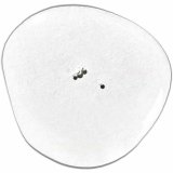 Morgenkbe Paul Mitchell #6