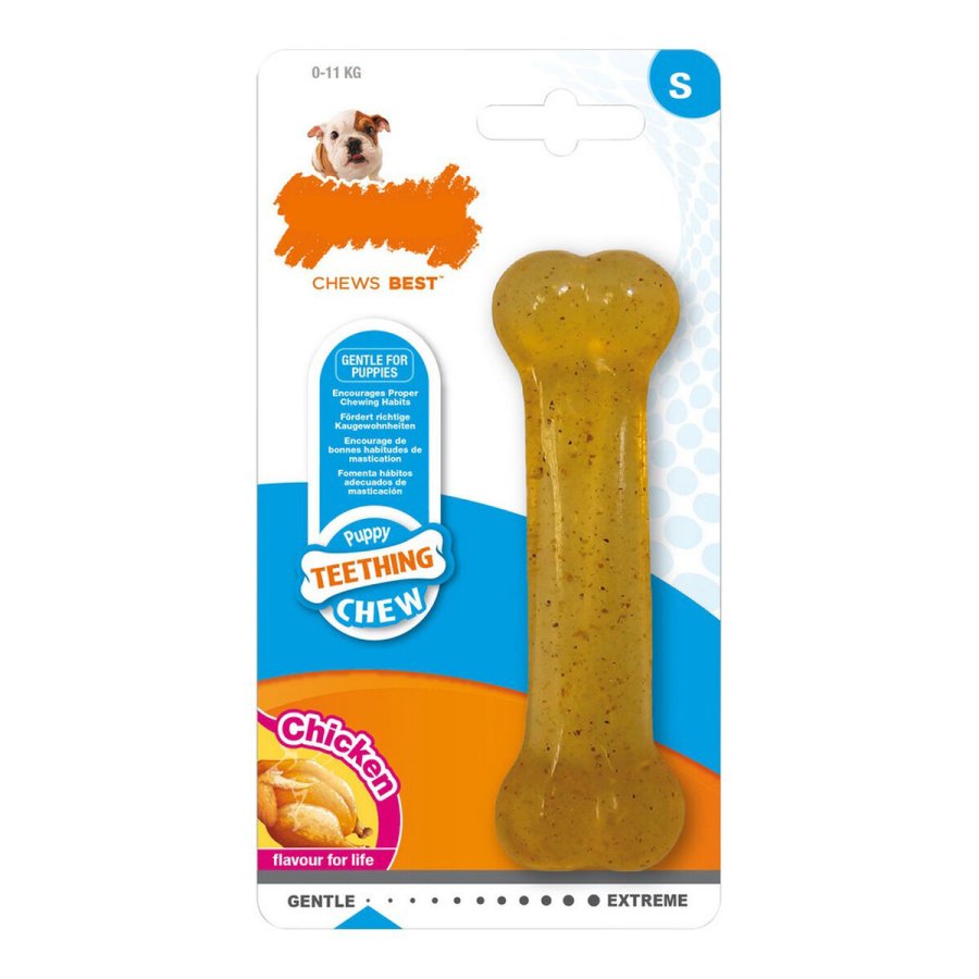 Hund Bidering Nylabone Strrelse M Kylling Termoplastisk Hvalpe #1