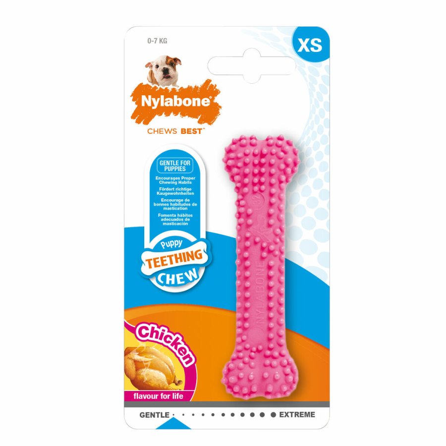 Hund Bidering Nylabone Birka Pink Kylling XS #1