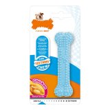 Hund Bidering Nylabone Bl Kylling Blue Termoplastisk XS-strrelse Hvalpe #1