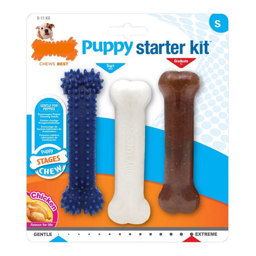 Hund Bidering Nylabone Extreme Chew Starter Kit Hvalpe Kylling Nylon Termoplastisk (3 pcs) #1