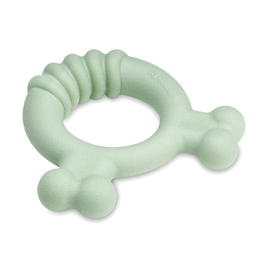 Hund Bidering Nylabone SENSORY TACTILE RING Grn Jordnddesmr Kylling S #3