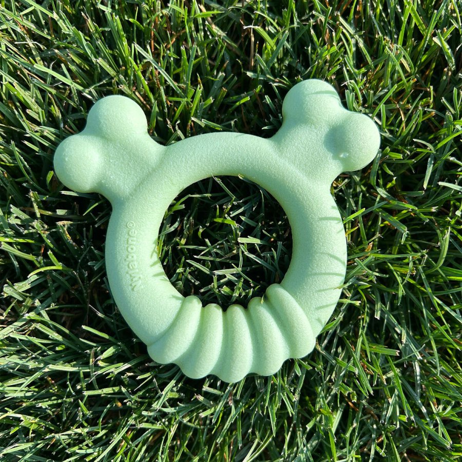 Hund Bidering Nylabone SENSORY TACTILE RING Grn Jordnddesmr Kylling S #4