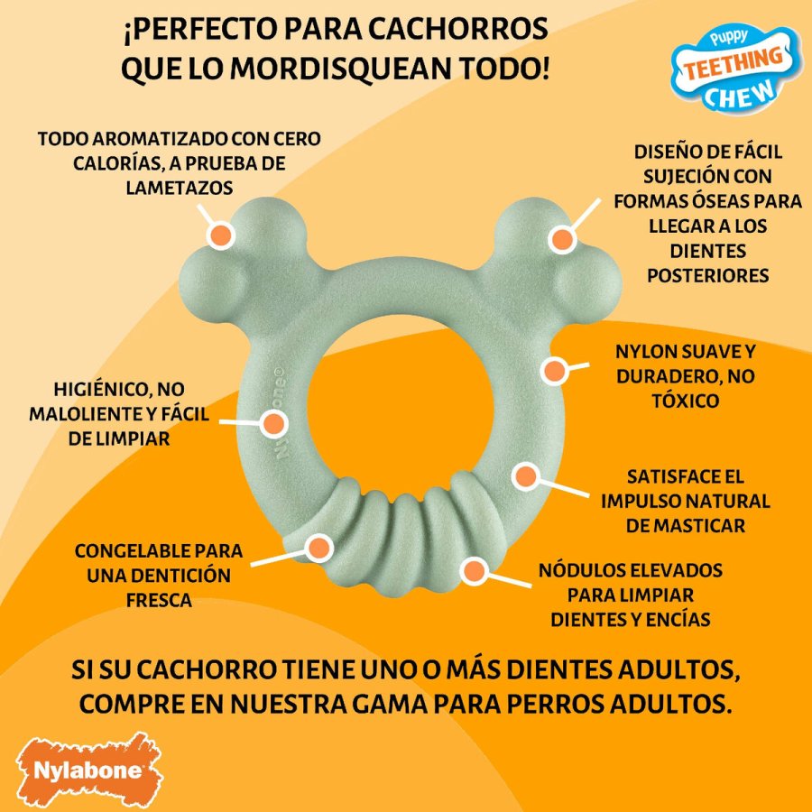 Hund Bidering Nylabone SENSORY TACTILE RING Grn Jordnddesmr Kylling S #6