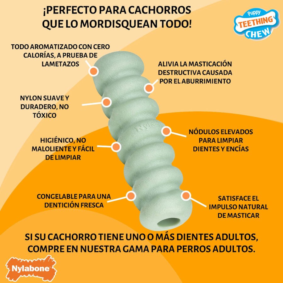 Hund Bidering Nylabone SENSORY TACTILE STICK Grn Jordnddesmr Bacon S #2