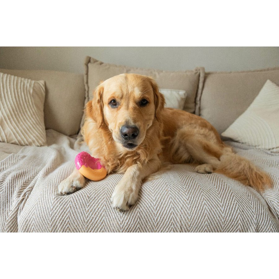 Legetj til hunde Nylabone Pink Bacon L #4