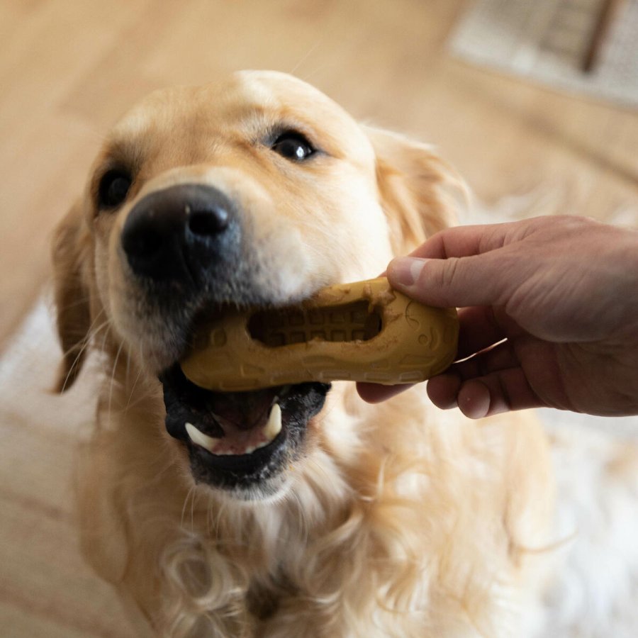 Legetj til hunde Nylabone Brun Jordnddesmr M #3