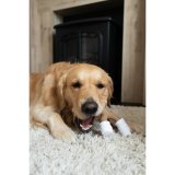 Legetj til hunde Nylabone Brun Jordnddesmr L #3