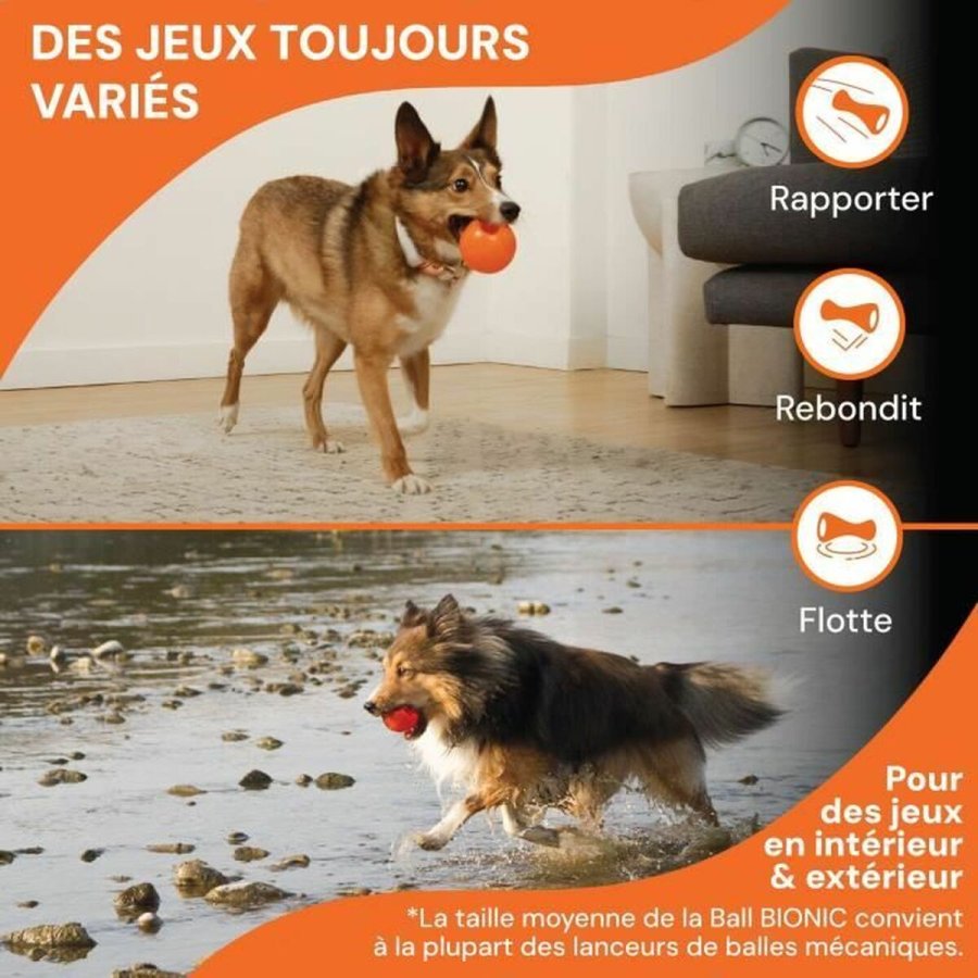 Kledyrsbold Bionic dyr #3