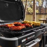 Havegrill Transportabel Weber #9