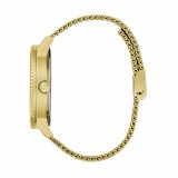 Dameur Guess MONARCH #4