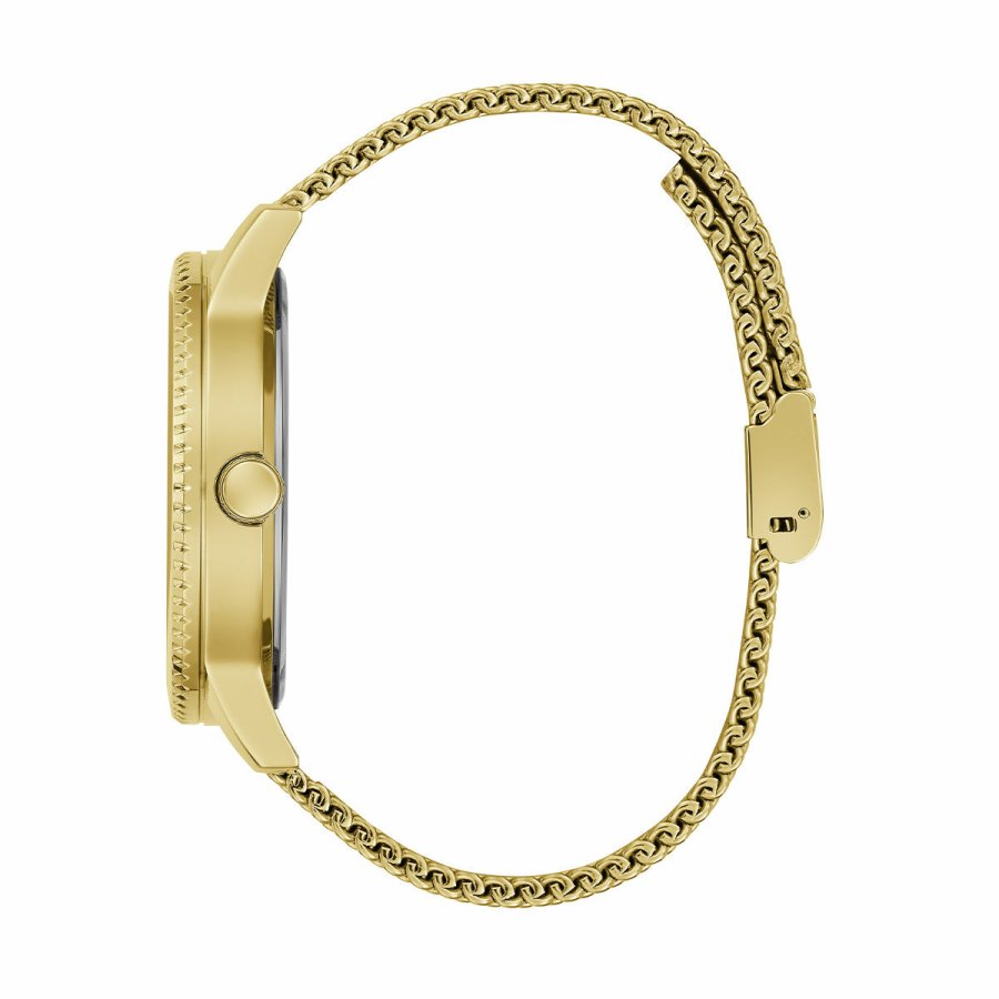 Dameur Guess MONARCH #4