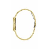 Dameur Guess DAWN #3