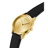 Dameur Guess CLARK #5