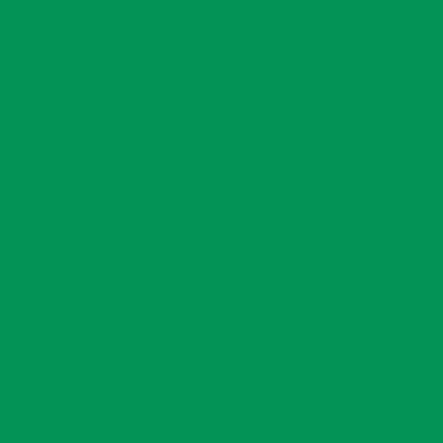 Permanent vinyl til skreplotter Cricut Smart Iron-On Grn #6