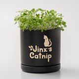 Selvklbende vinyl til skreplotter Cricut Smrtvnl #3