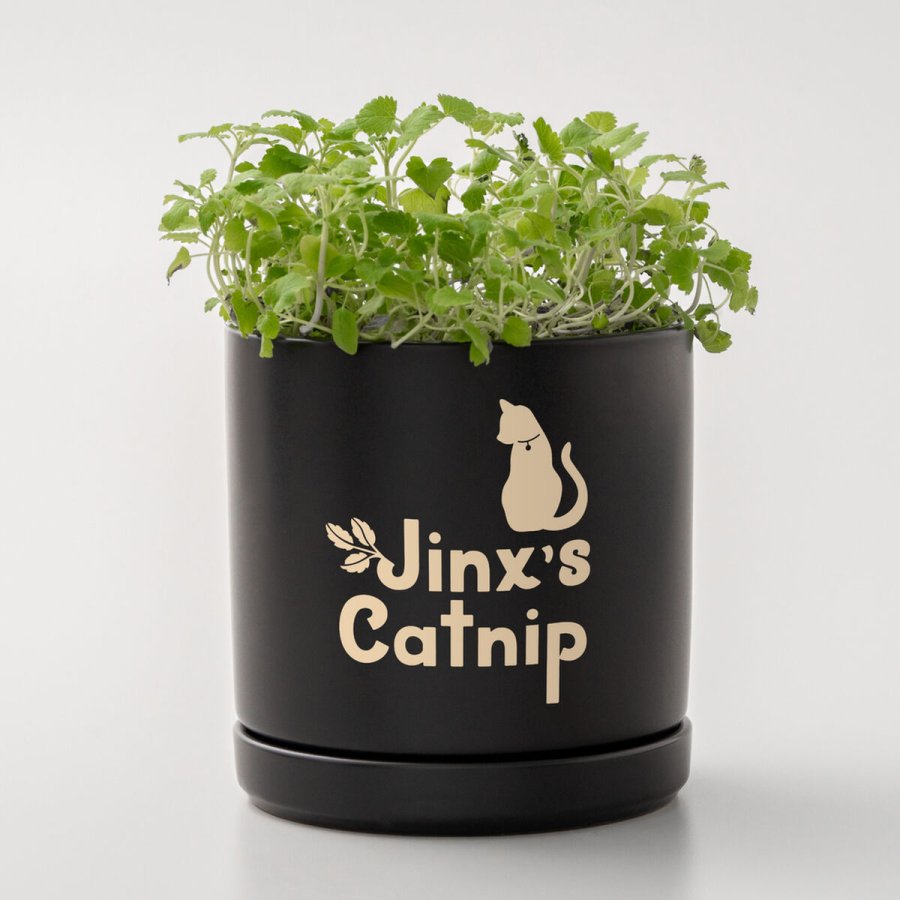 Selvklbende vinyl til skreplotter Cricut Smrtvnl #3