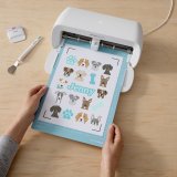 Sk�rem�tte til sk�replotter Cricut Xtra #3