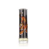 Herreparfume Christian Audigier Ed Hardy Men's EDT 30 ml #2