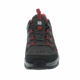 Vandrestvler Salomon EOS Gore-Tex Sort #6