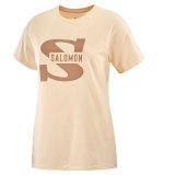 Kortrmet T-shirt til Mnd Salomon Big Logo Nude Beige Brun #1