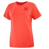 Kortrmet T-shirt til Mnd Salomon Outlife Small Logo Orange #1