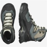 Vandrestvler Salomon Quest Element Gore-Tex Dame Gr #3