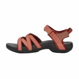 Mountain sandaler Teva Tirra Orange #3