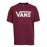 B�rne Kort�rmet T-shirt Vans Drop V Boy-B Brun #1