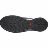 Herre sneakers Salomon X-Adventure Bl� Gr� #3