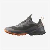 Herre sneakers Salomon Cross Over 2 Gore Sort #2