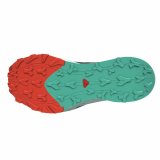 Lbesko til voksne Salomon Thundercross Sort #3