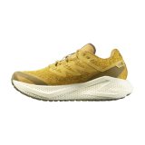 L�besko til voksne Salomon Aero Glide 3 Grvl Gylden #2