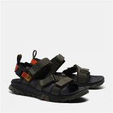 Mountain sandaler Timberland Garrison Trail Oliven #5