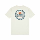 Kortrmet T-shirt til Mnd Dickies Greensburg Brun #4