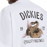 Kortrmet T-shirt til Mnd Dickies Dickies Snake Ss Tee Hvid #2
