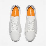 Herre sneakers Timberland Seneca Bay Low Lace Up #3