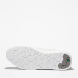 Herre sneakers Timberland Seneca Bay Low Lace Up #4