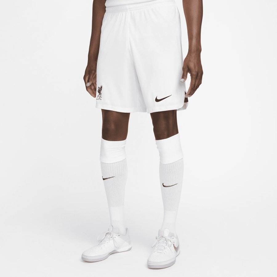 Sport shorts til mnd Nike DN2725-100-S #1