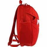 Sportsrygsk Nike Rd 30 L 48 x 33 x 18 cm #5