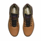 Kvinde Casual Sneakers Timberland Field Trekker Low Lace Up Brun #3