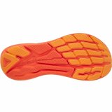 L�besko til voksne Altra Experience Flow Sort #3