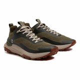 Herre sneakers Timberland Motion Acces Low Lace UP #7