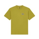 Kort�rmet T-shirt til M�nd Dickies Graysville Sennep #1