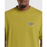 Kort�rmet T-shirt til M�nd Dickies Graysville Sennep #5