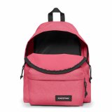 Casual Rygsk Eastpak PADDED PAKR EK0006207V4 Pink Europisk #2