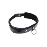 Halskde Sportsheets Sex and Mischief #4